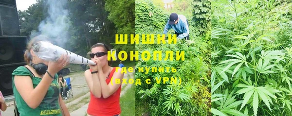 a pvp Абаза