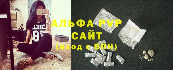 гашик Алексеевка